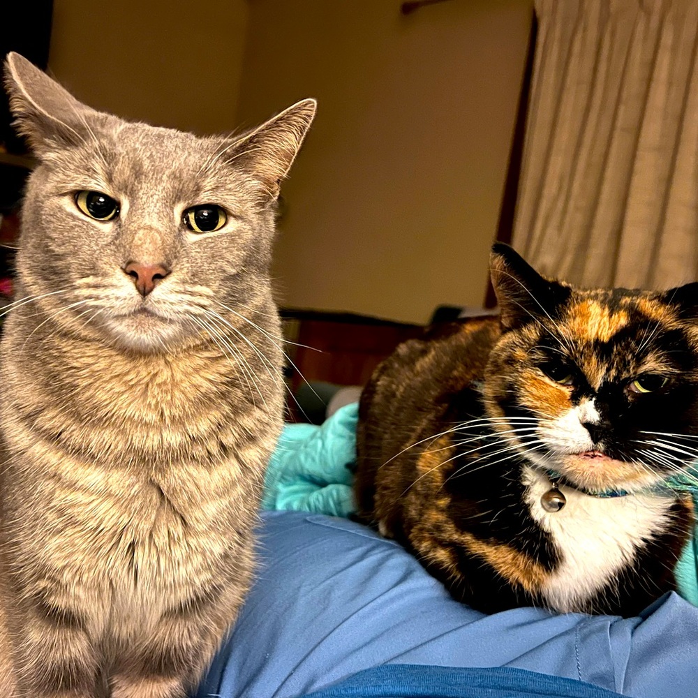 EXTRA Shipping label